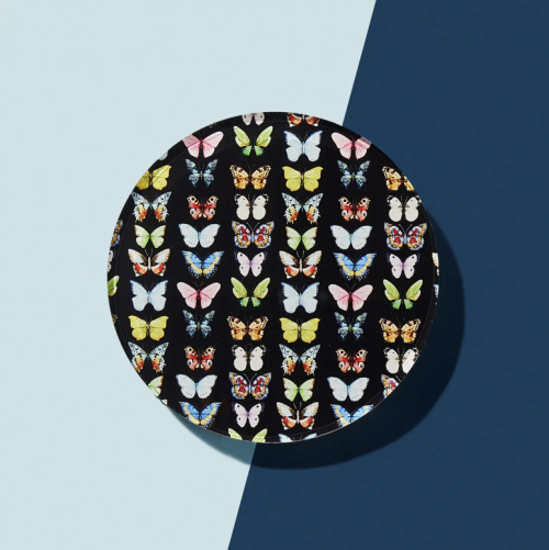 Monarch Coaster